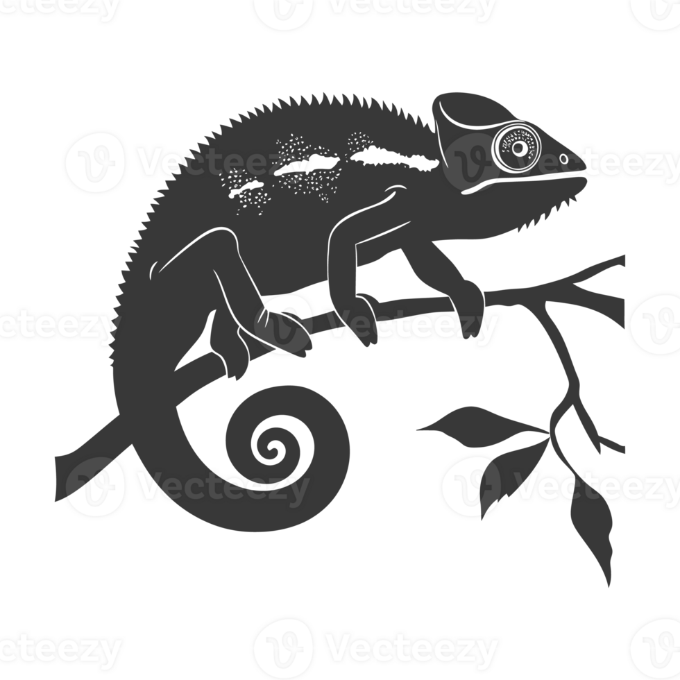 Silhouette chameleon Animal black color only full body png