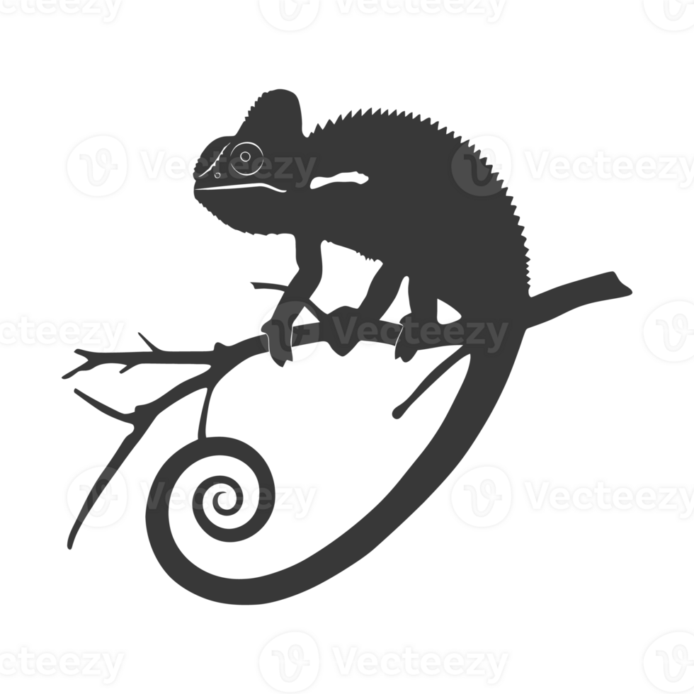 Silhouette chameleon Animal black color only full body png