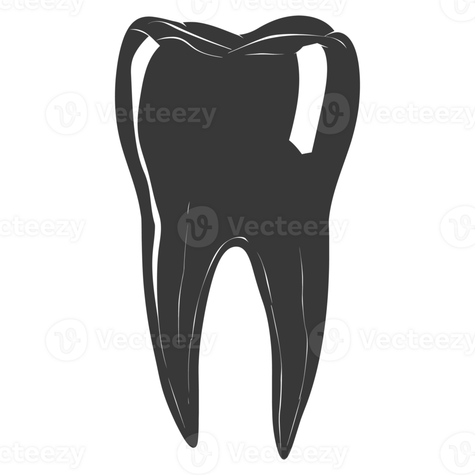 silueta cavidad diente negro color solamente lleno cuerpo png