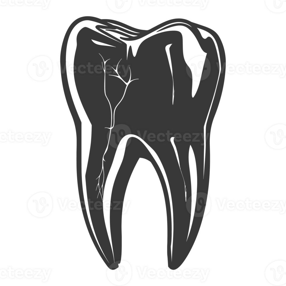 Silhouette cavity tooth black color only full body png