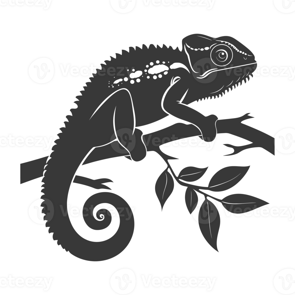 Silhouette chameleon Animal black color only full body png