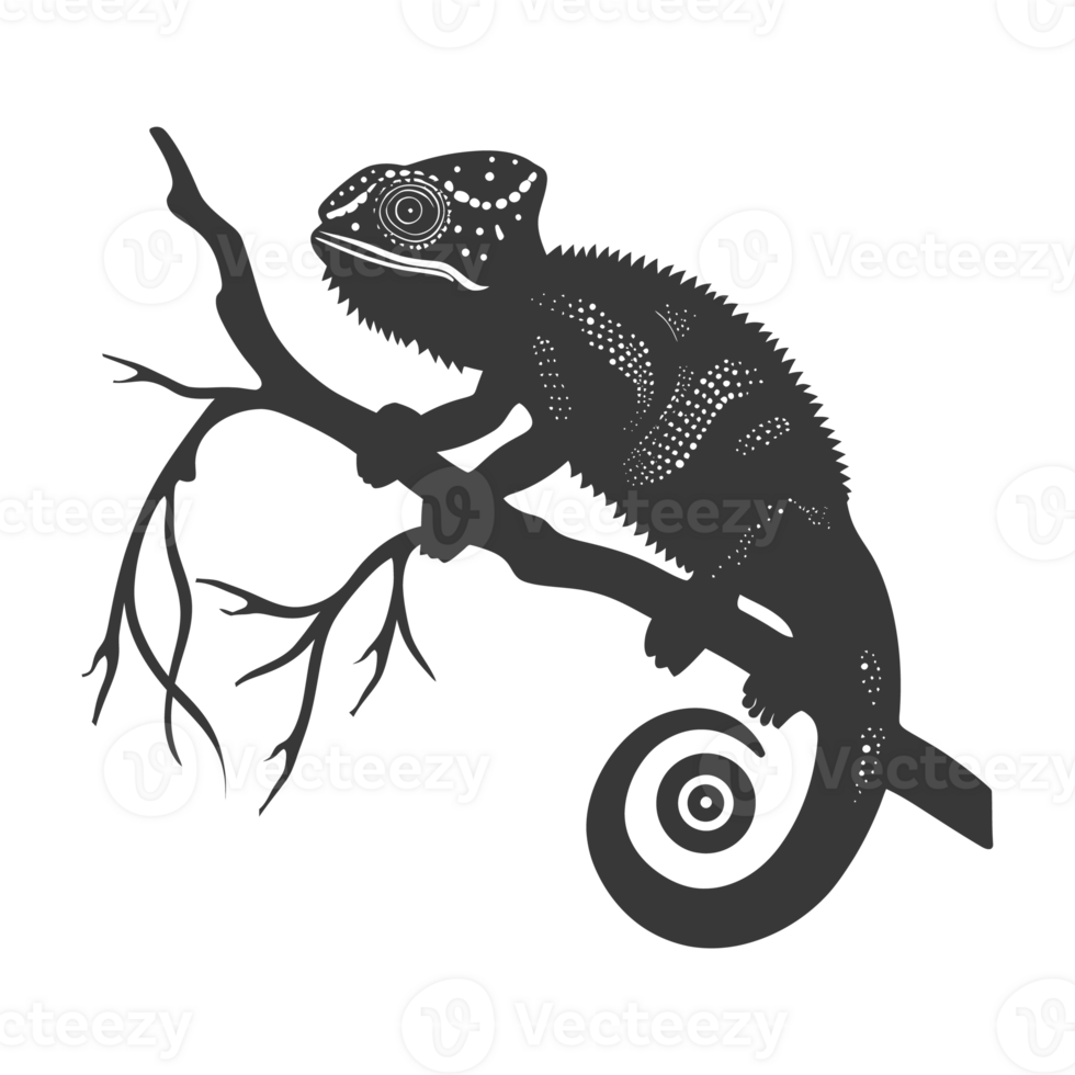 Silhouette chameleon Animal black color only full body png