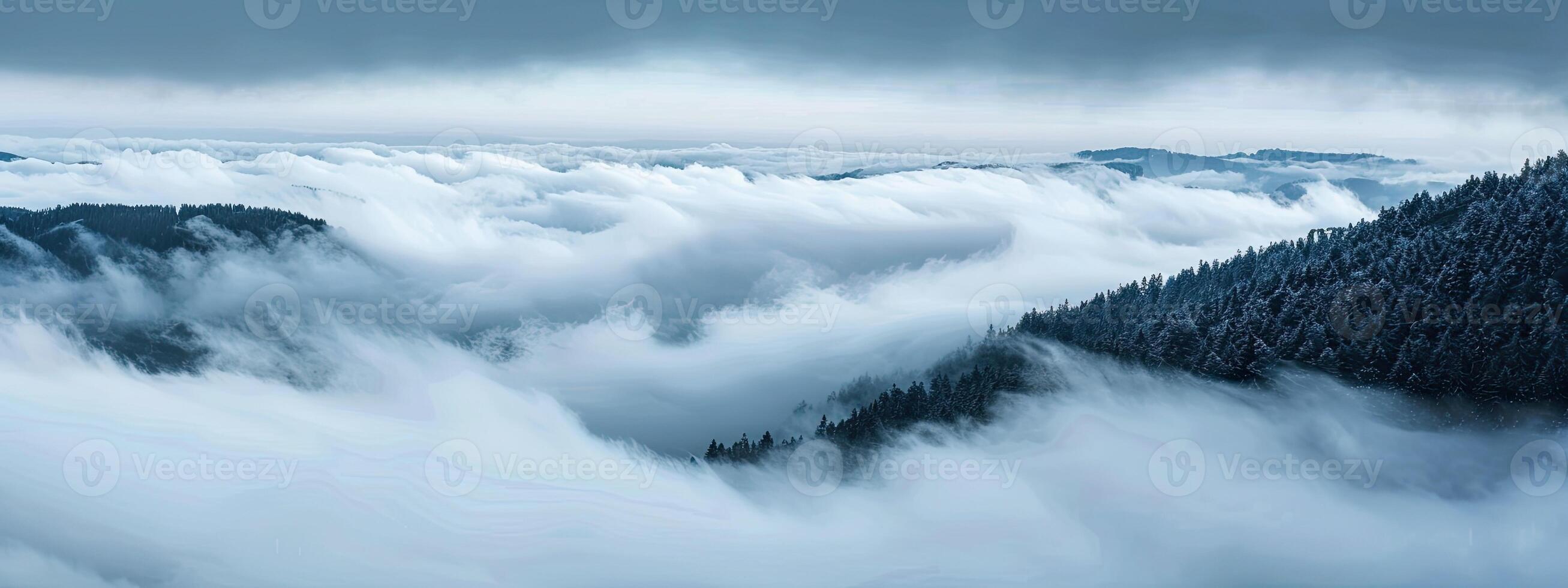 Mountain Fog Landscape View photo