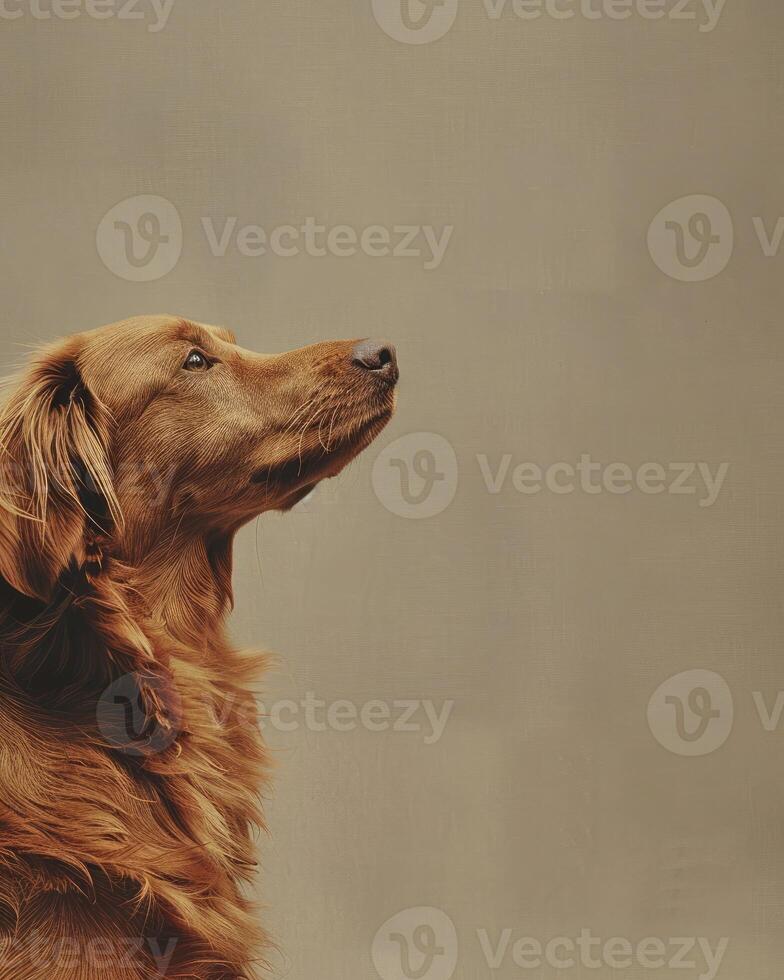 Minimalistic Dog Sideview with Copyspace photo