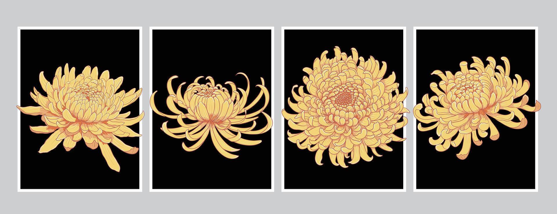 set of four yellow chrysanthemum flower blossoms isolated illustration vector