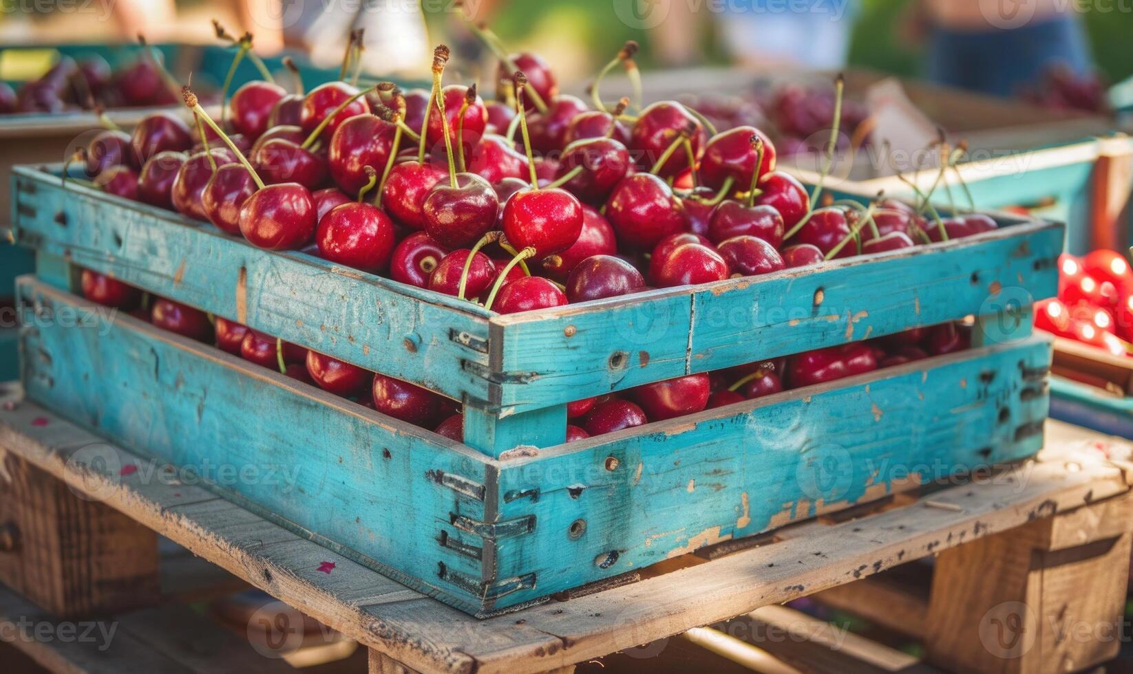 Ripe cherries displayed in a vintage fruit crate at a country fair photo