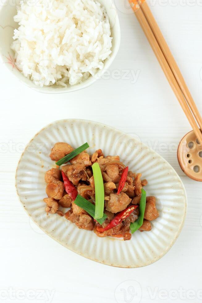 Stir Fry Chicken with Soy Sauce, Garlic, Onion, Spring Onion, and Chilli. photo