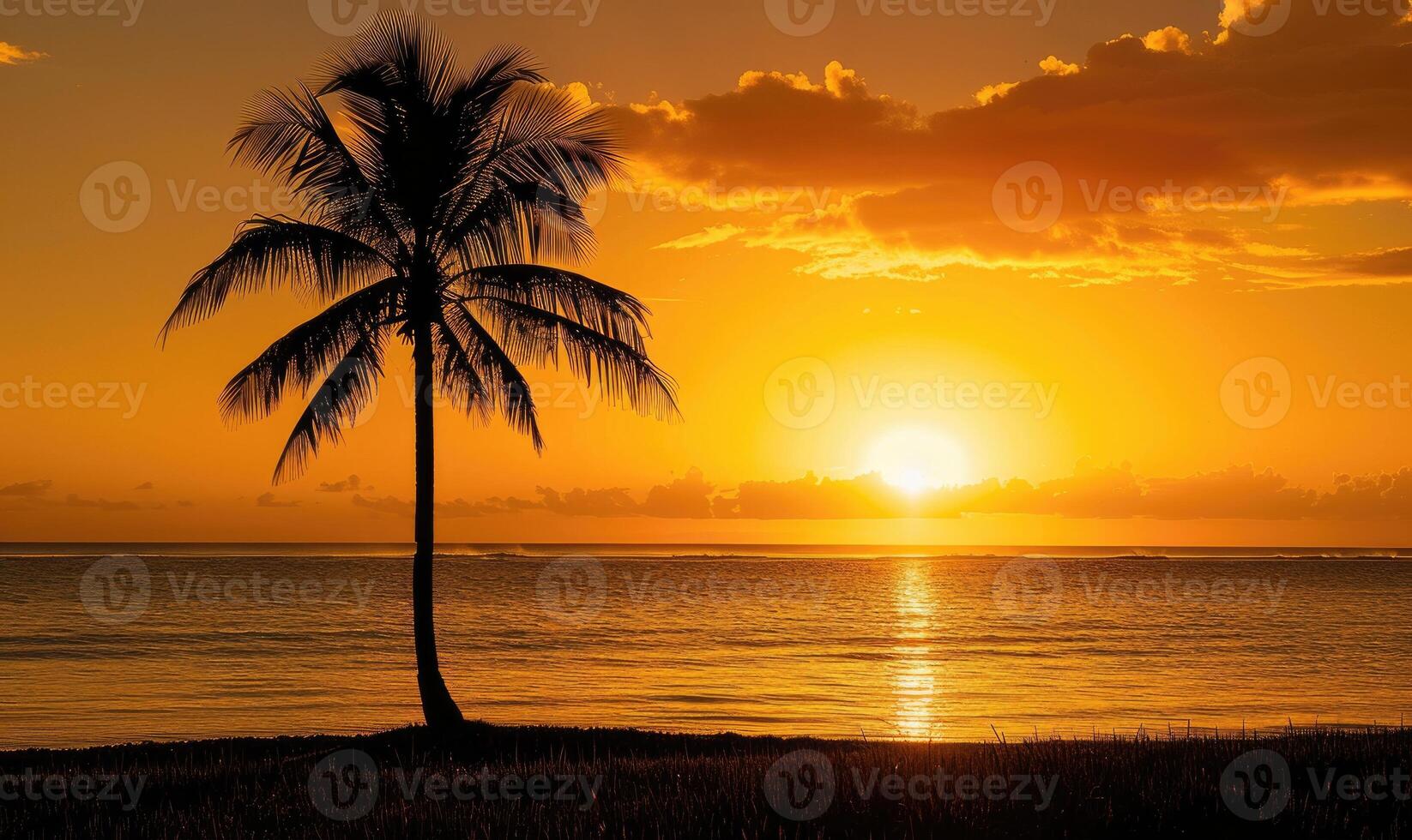 A lone palm tree silhouetted against the golden hues of a sunrise over the ocean, tropical nature at sunset photo