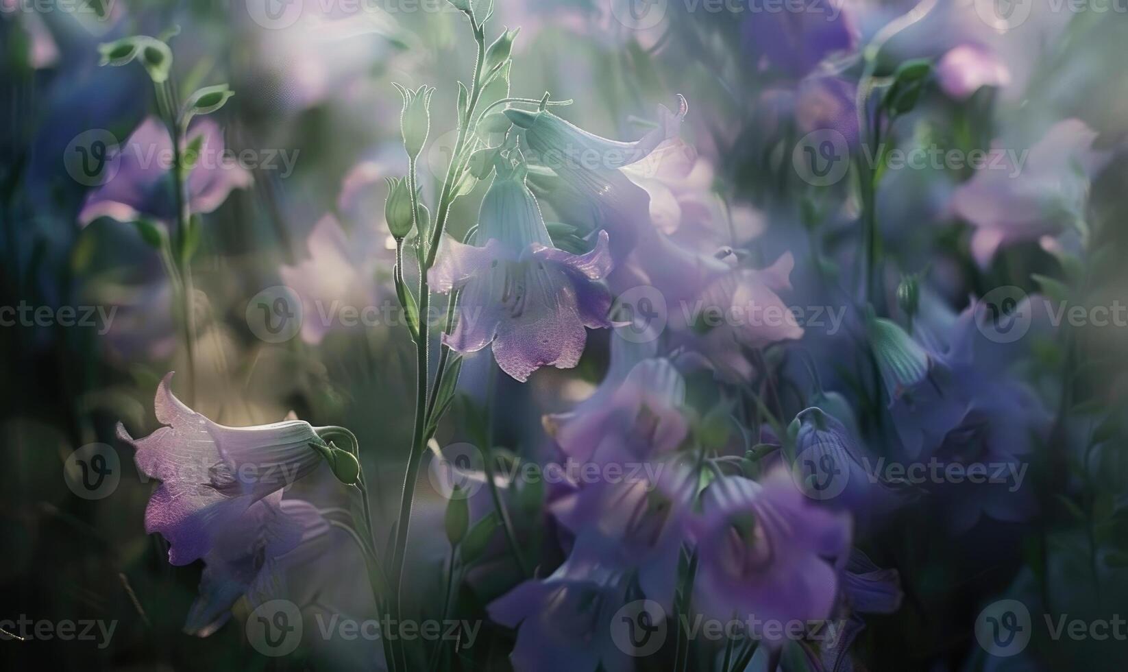 Bellflowers swaying in the breeze, closeup view, soft focus, bokeh photo