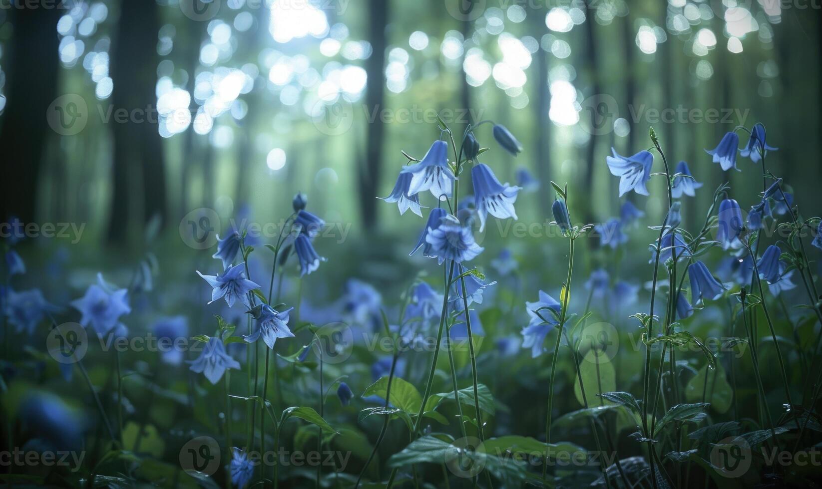 Bellflowers in a woodland clearing, closeup view, selective focus photo