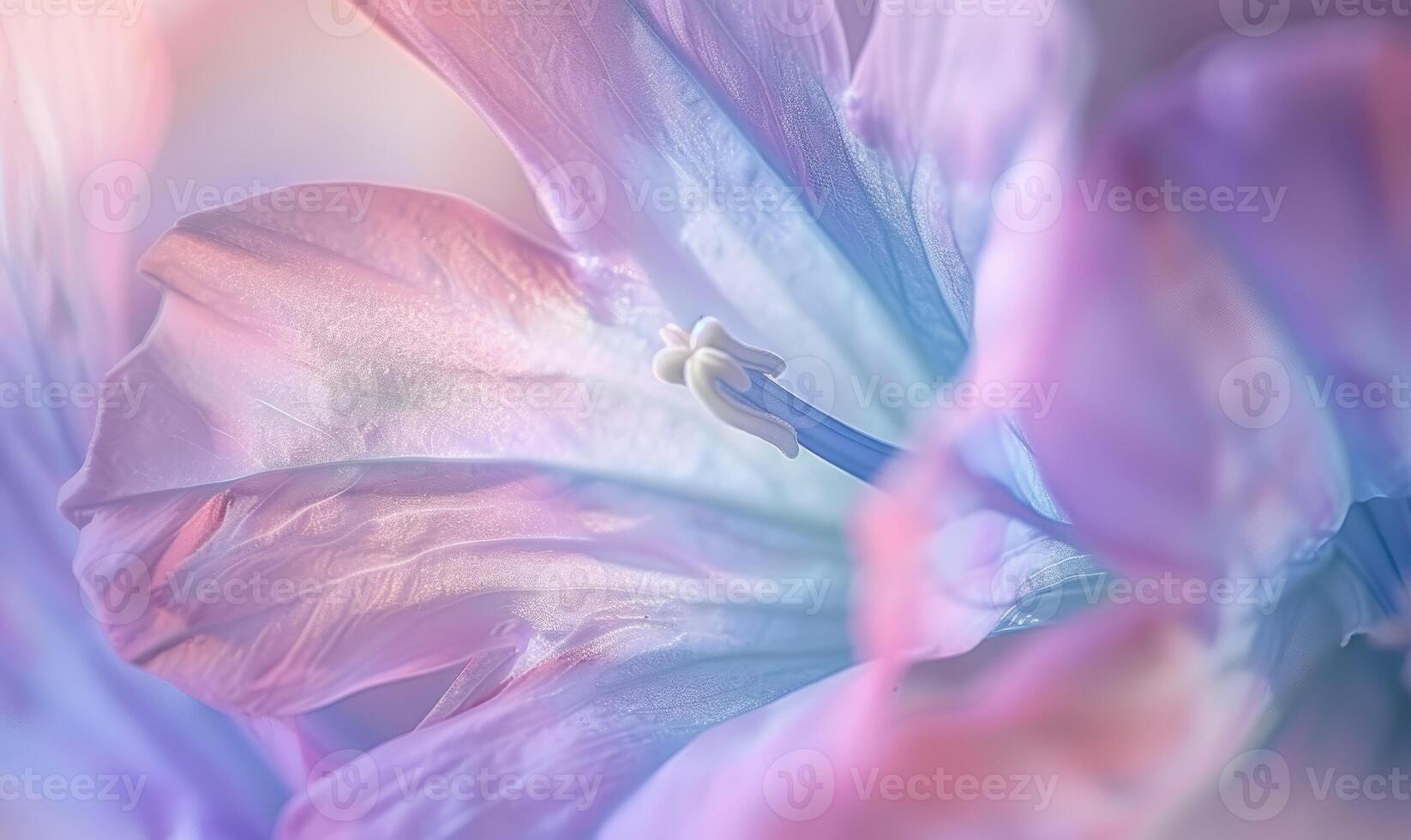 Close-up of a bellflower in soft light, closeup view, selective focus, spring background photo