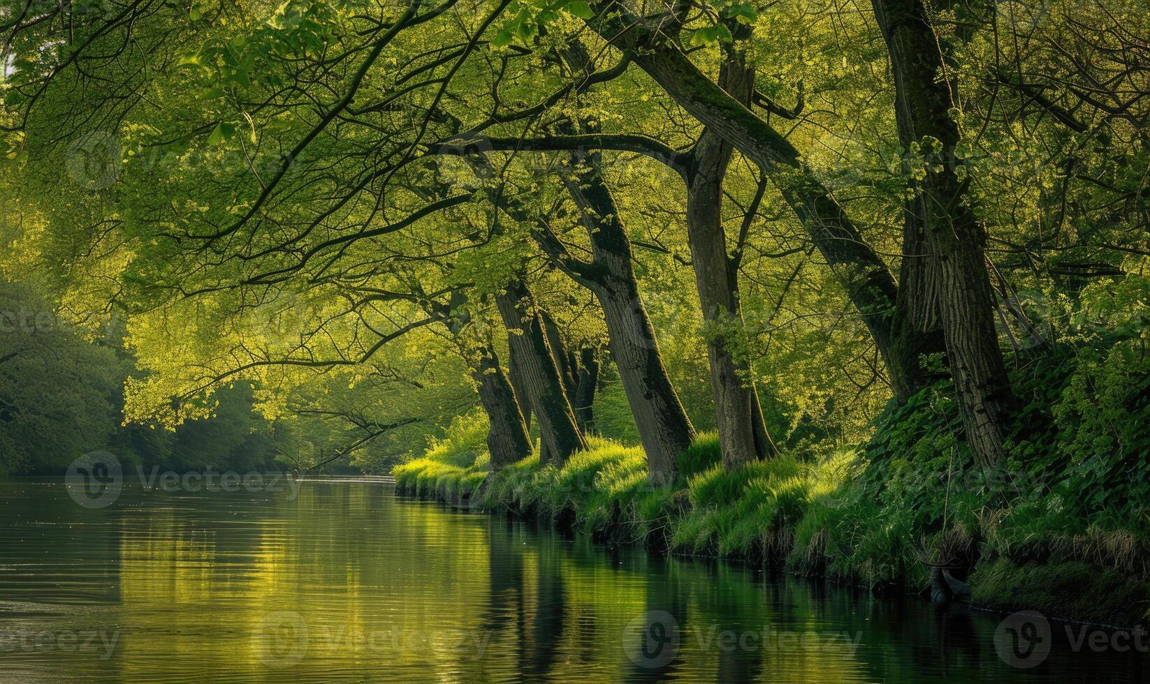 A tranquil riverbank lined with budding trees and vibrant greenery. Spring nature background photo