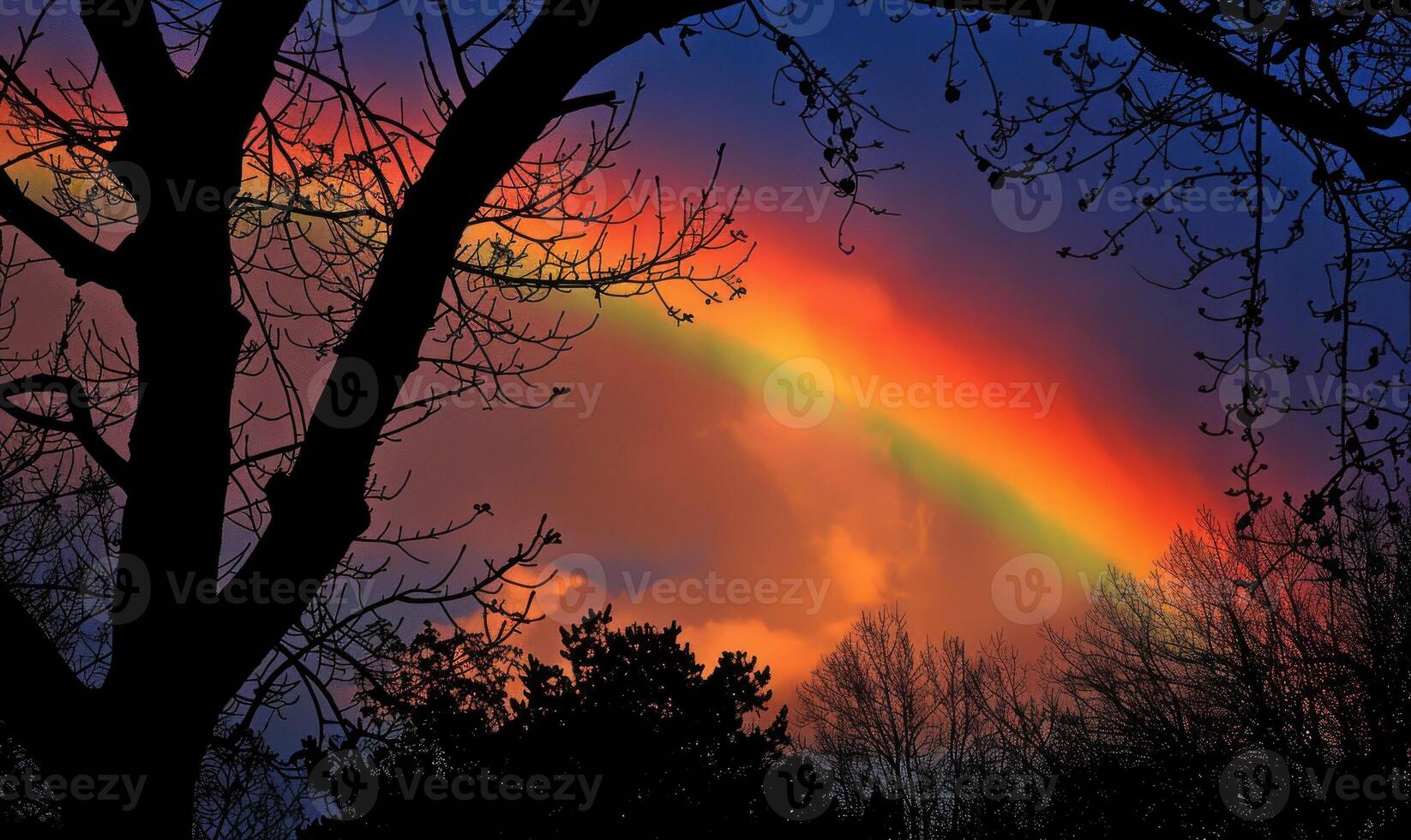 Colorful rainbow after spring rain, rainbow on dark cloudy sky photo