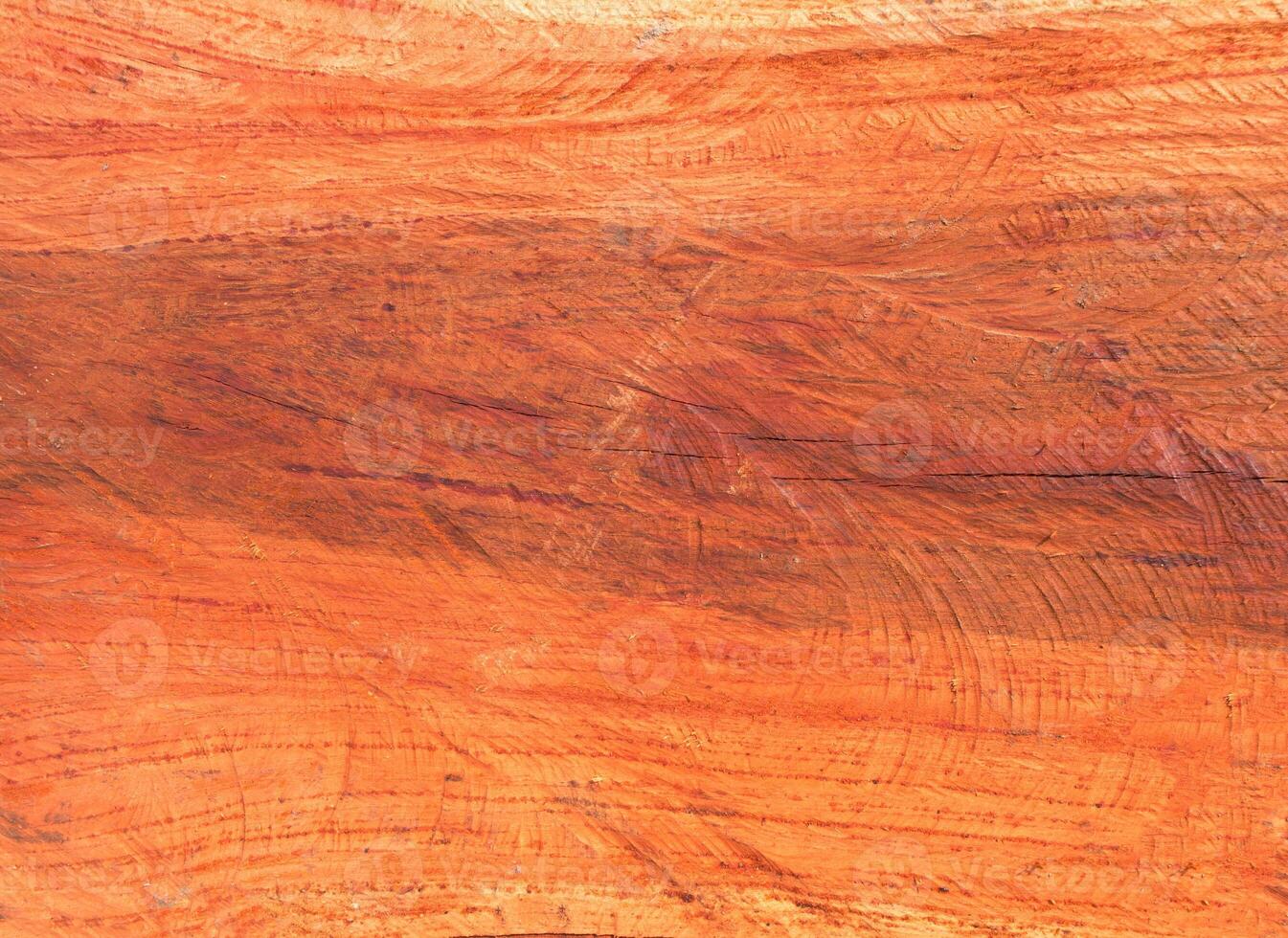 Tree texture nature background photo, High Resolution for 3D. photo