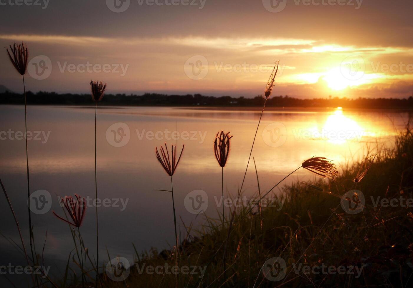 orange at sunset, beautiful with clouds photo