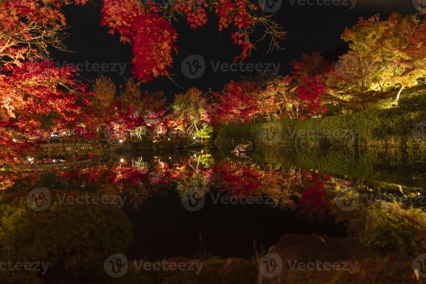 An illuminated red leaves reflecting on the water at the traditional garden photo