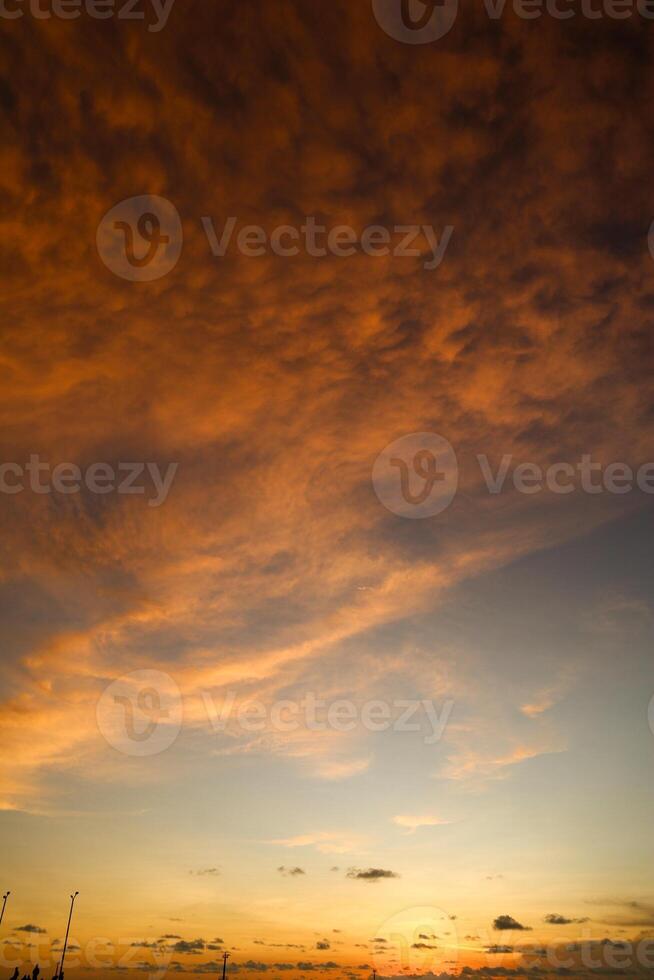 view of a photo in the afternoon on a pier