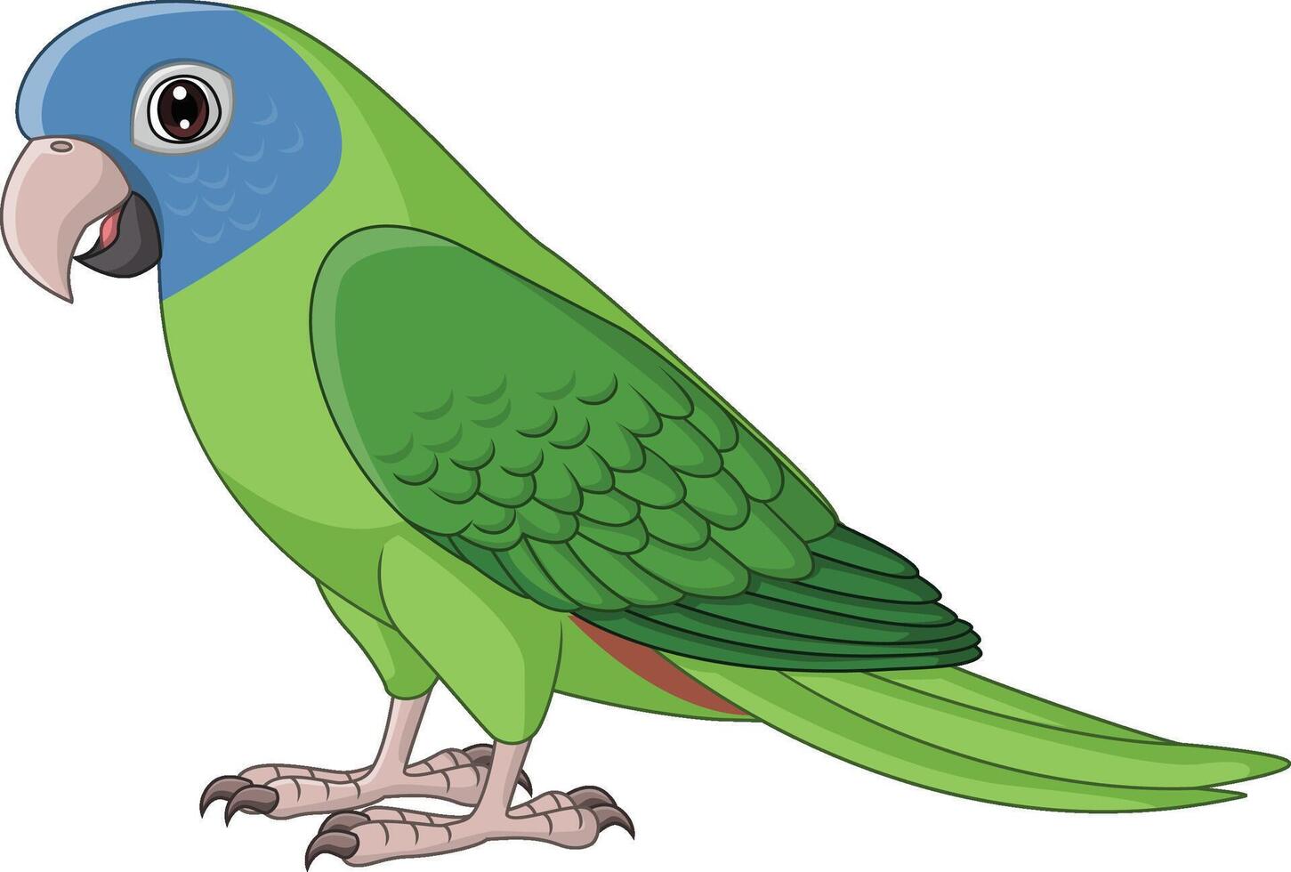 Cartoon Blue Crown Conure Parrot vector