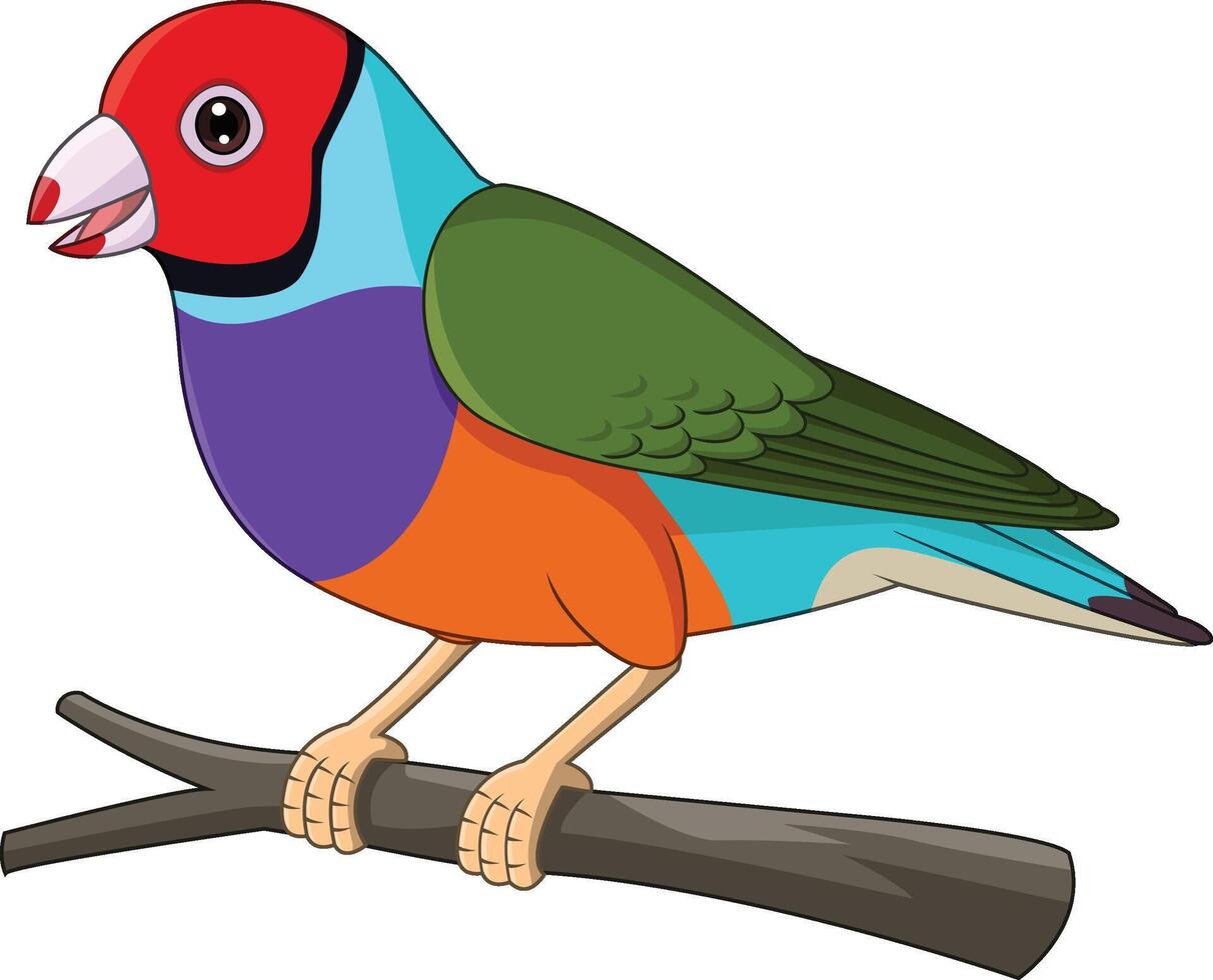 Cartoon Gouldian Finch Bird on Tree Branch vector