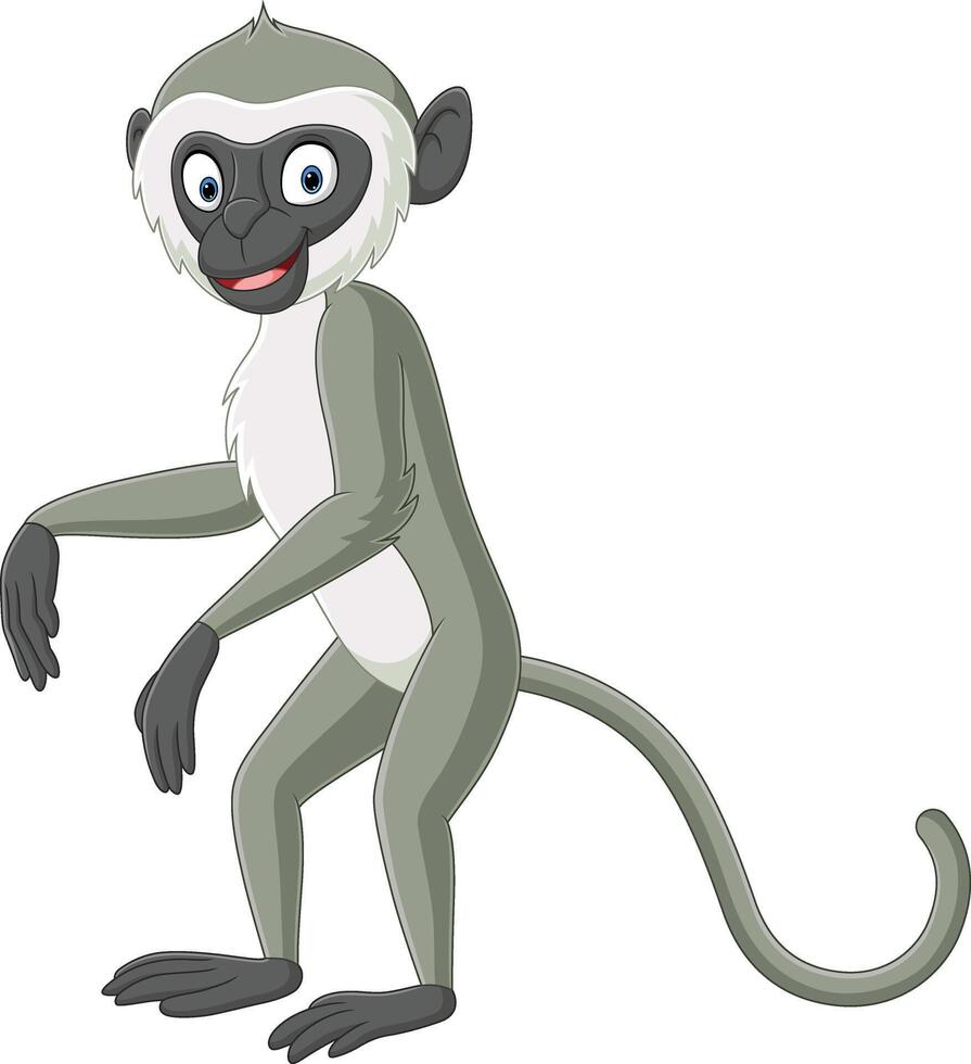 linda gris langur mono dibujos animados vector