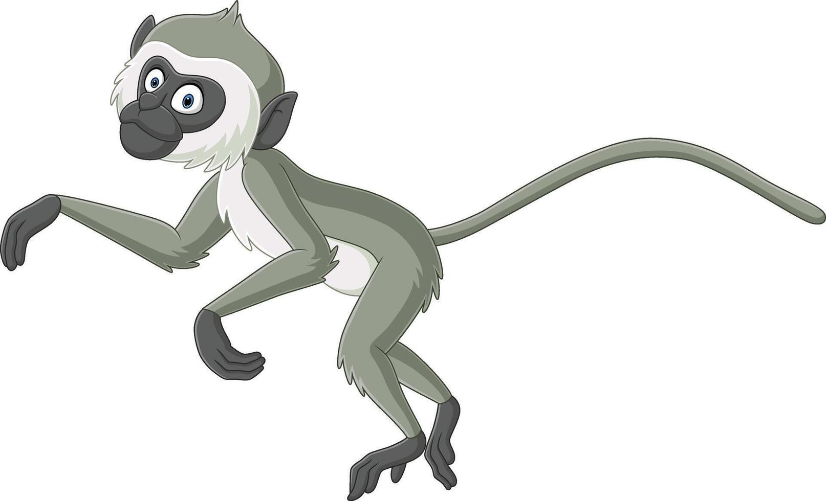 linda gris langur mono dibujos animados vector