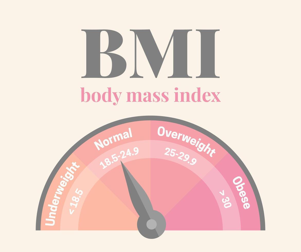 bmi cuerpo masa índice femenino rosado infografía ilustración para peso pérdida o ganancia vector