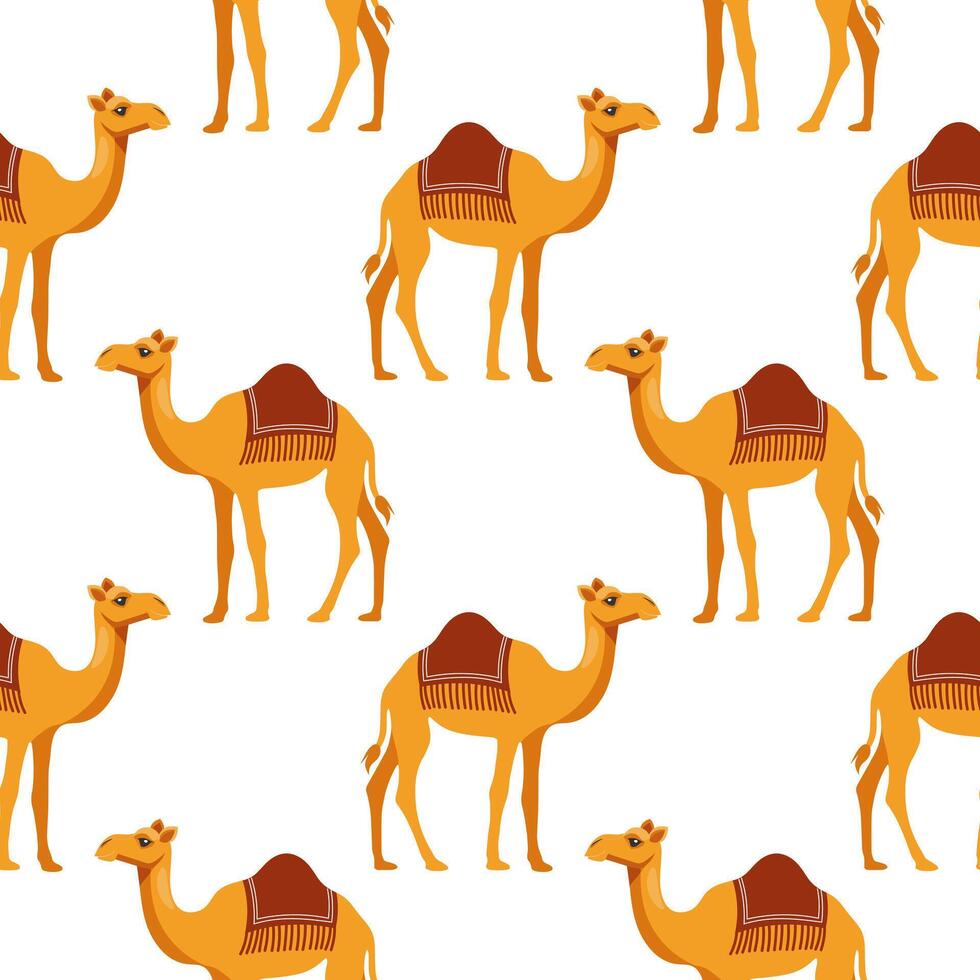 Seamless pattern with cute kawaii camels on a white background. Background for wrapping paper, wallpaper, cover. vector