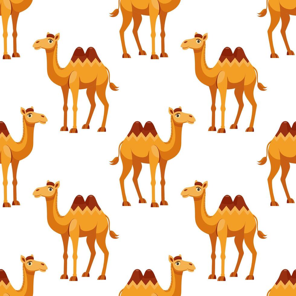 Seamless pattern with cute kawaii camels on a white background. Background for wrapping paper, wallpaper, cover. vector