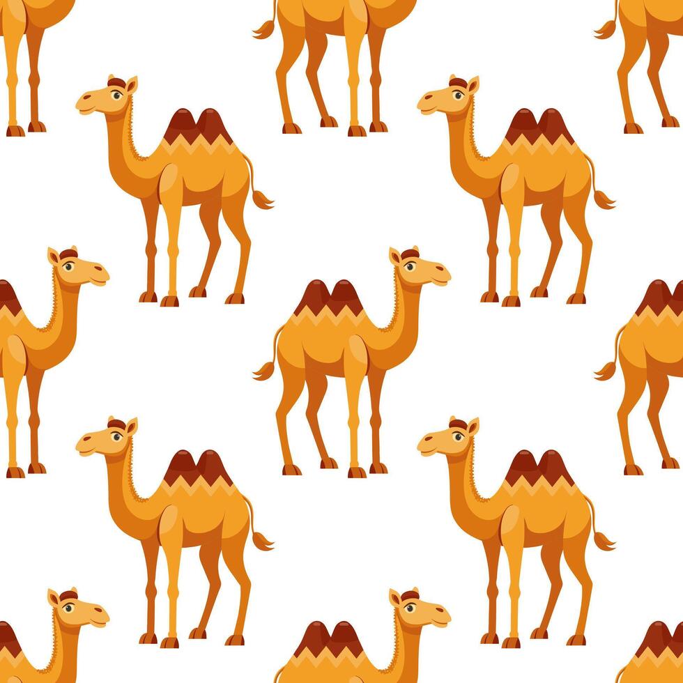 Seamless pattern with cute kawaii camels on a white background. Background for wrapping paper, wallpaper, cover. vector