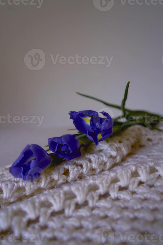 minimalist irises on the table spring mood photo
