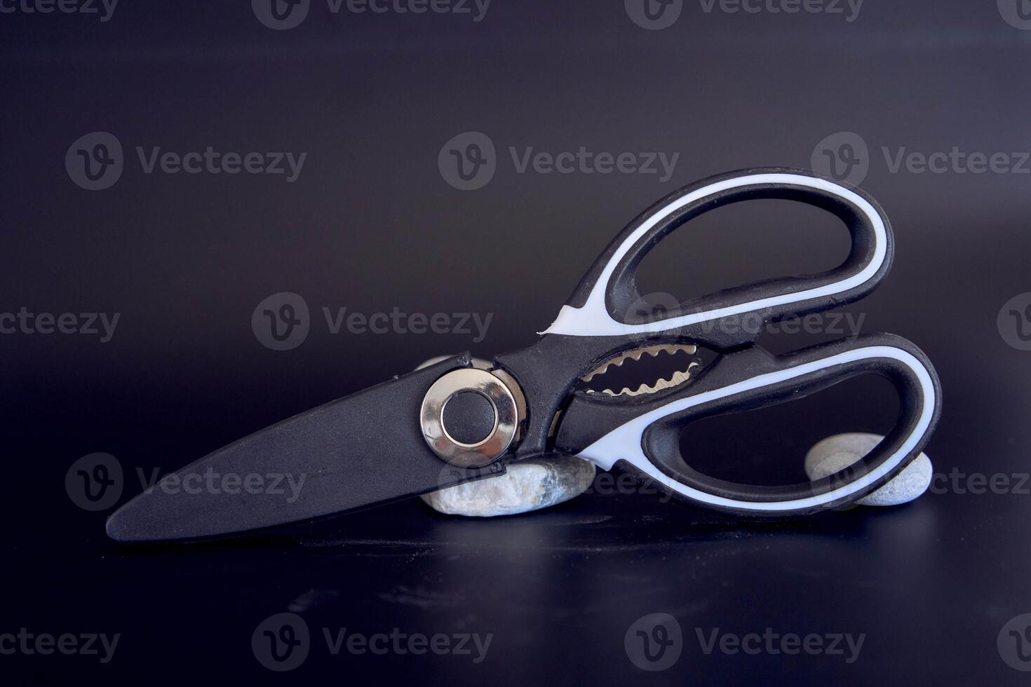 kitchen scissors in a protective case on a black background photo