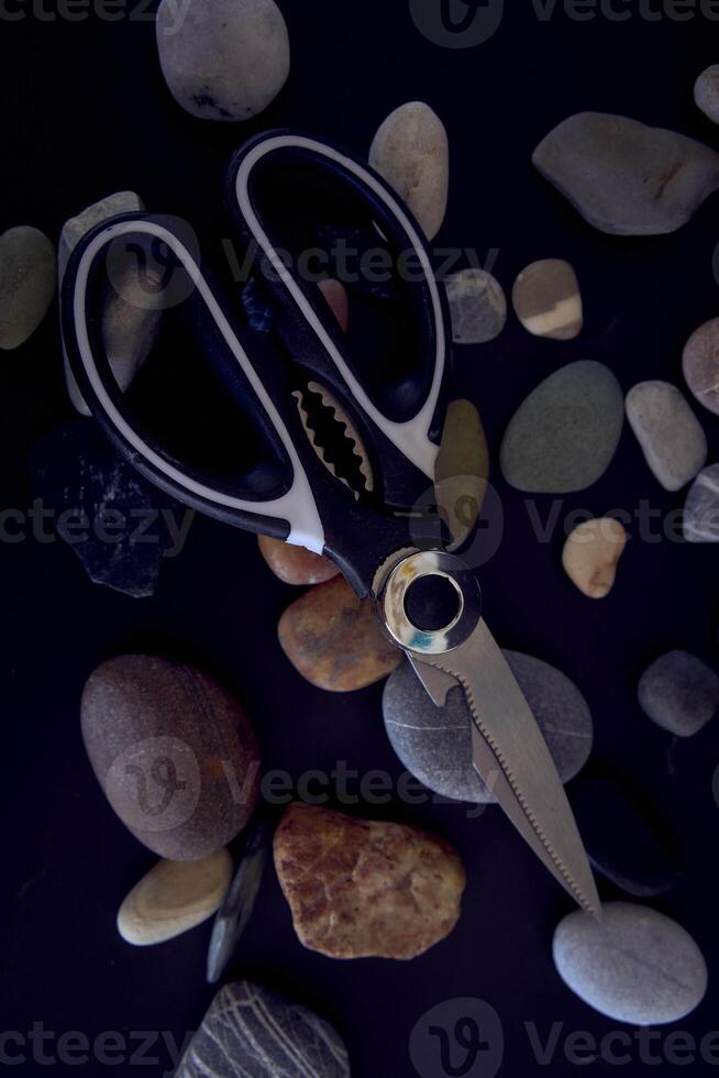 a   kitchen scissors with a jagged blade on a black background photo