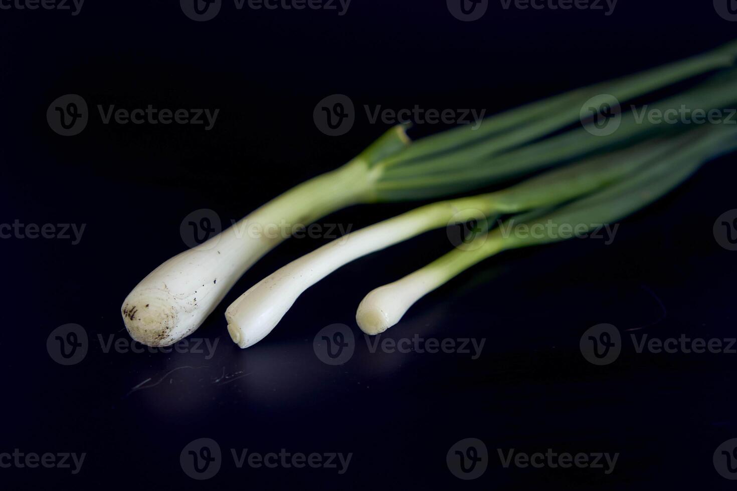 green onions on a black background photo