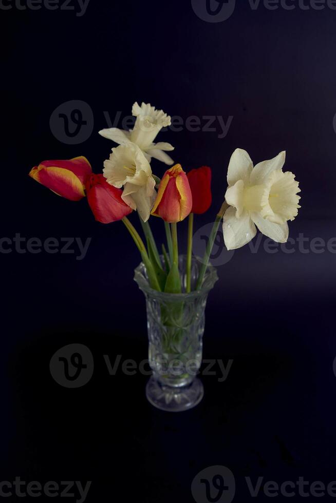 tulipanes y narcisos en un cristal florero en un negro antecedentes foto