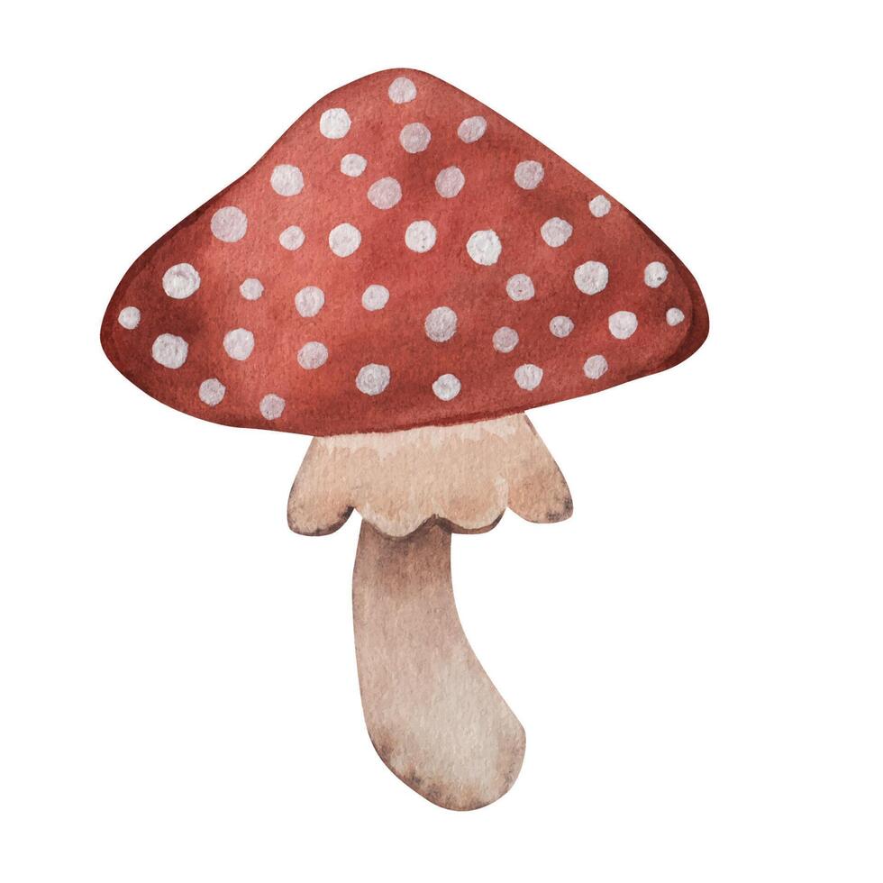 Red fly agaric. Cartoon style, hand drawing. Watercolor illustration vector