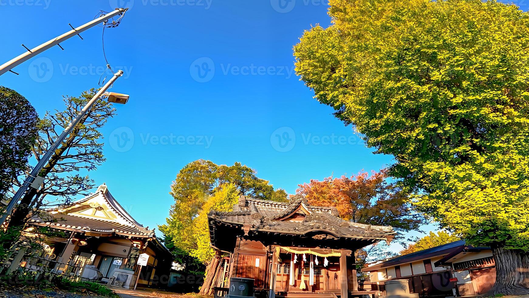 Rokugatsu Hachiman Shrine, a shrine in Rokugatsu, Adachi-ku, Tokyo, Japan. It was built during the 1053-1058 photo