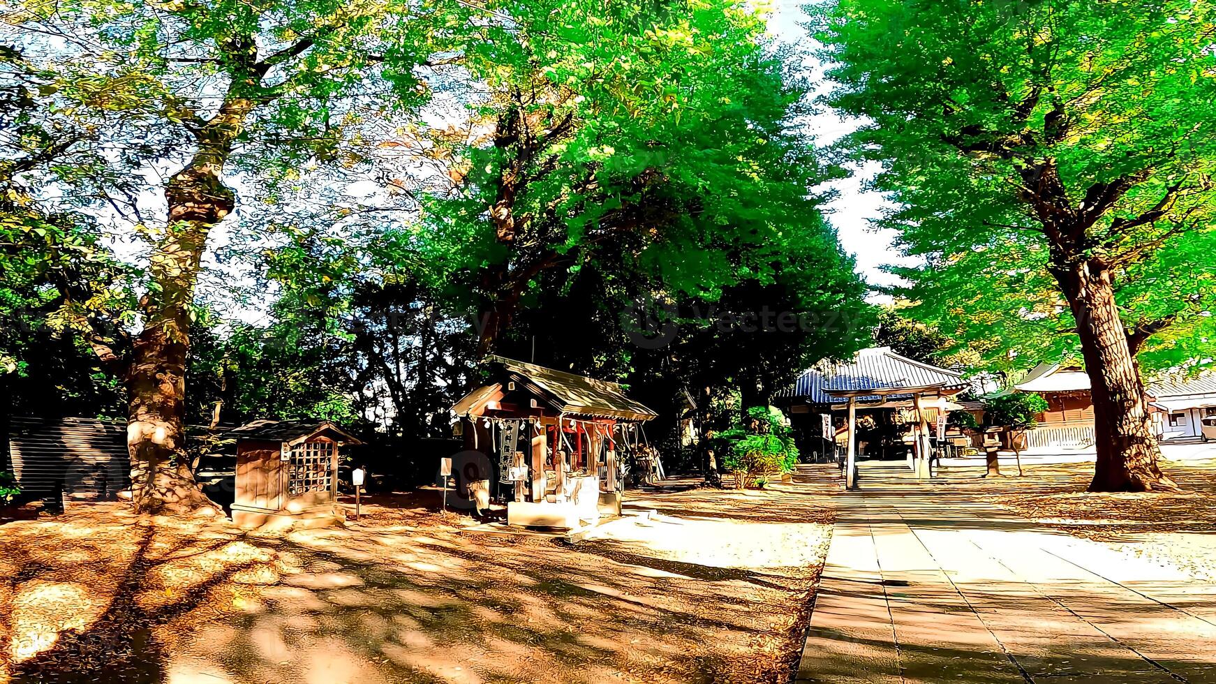 Hiratsuka Shrine, a shrine in Kaminakazato, Kita-ku, Tokyo, Japan. It has been enshrining Hachiman Taro Minamoto no Yoshiie, a hero of the late Heian period, and his two younger brothers since 1118. photo