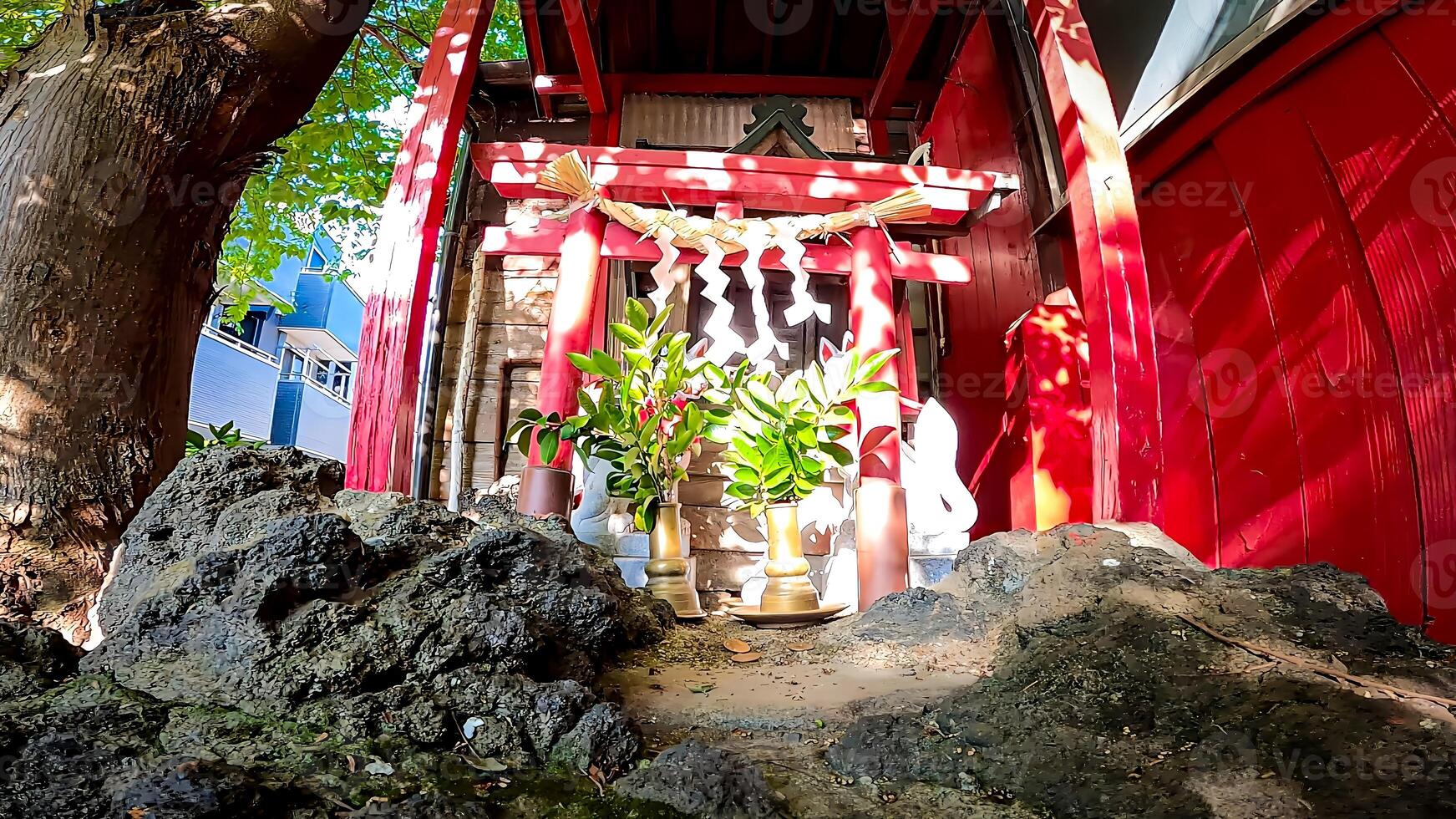 Hatsudai Shusse Inari Daimyojin, a shrine located in Hatsudai, Shibuya-ku, Tokyo, Japan It is located up a hill, in a residential area, next to the Hatsudai Children's Amusement Park. photo