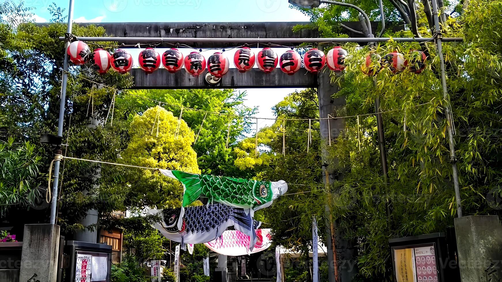 Koi Noboris,carp streamers displayed at a shrine in the fresh green. is a Japanese custom, to display carp-shaped banners in the garden to wish for the healthy growth of boys on Dragon Boat Festival. photo