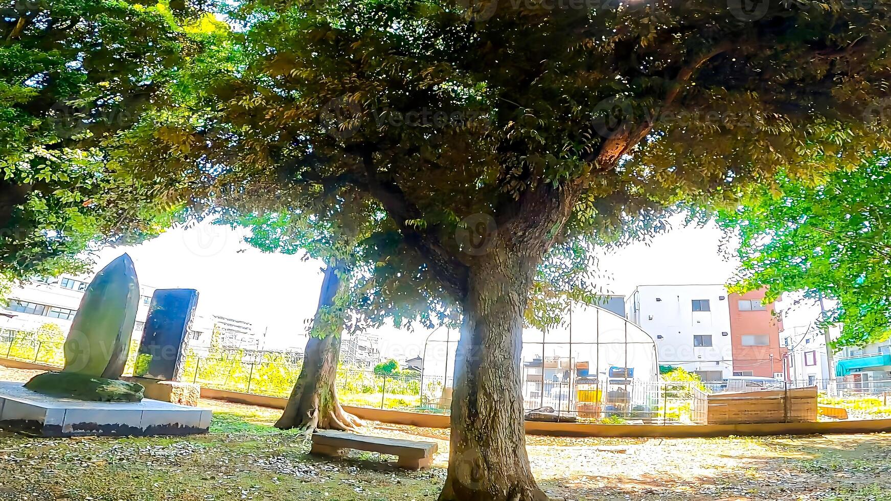 paisaje dentro el santuario terrenos.hasune hikawa santuario, un santuario situado en hasune, itabashi pabellón, tokio, Japón foto