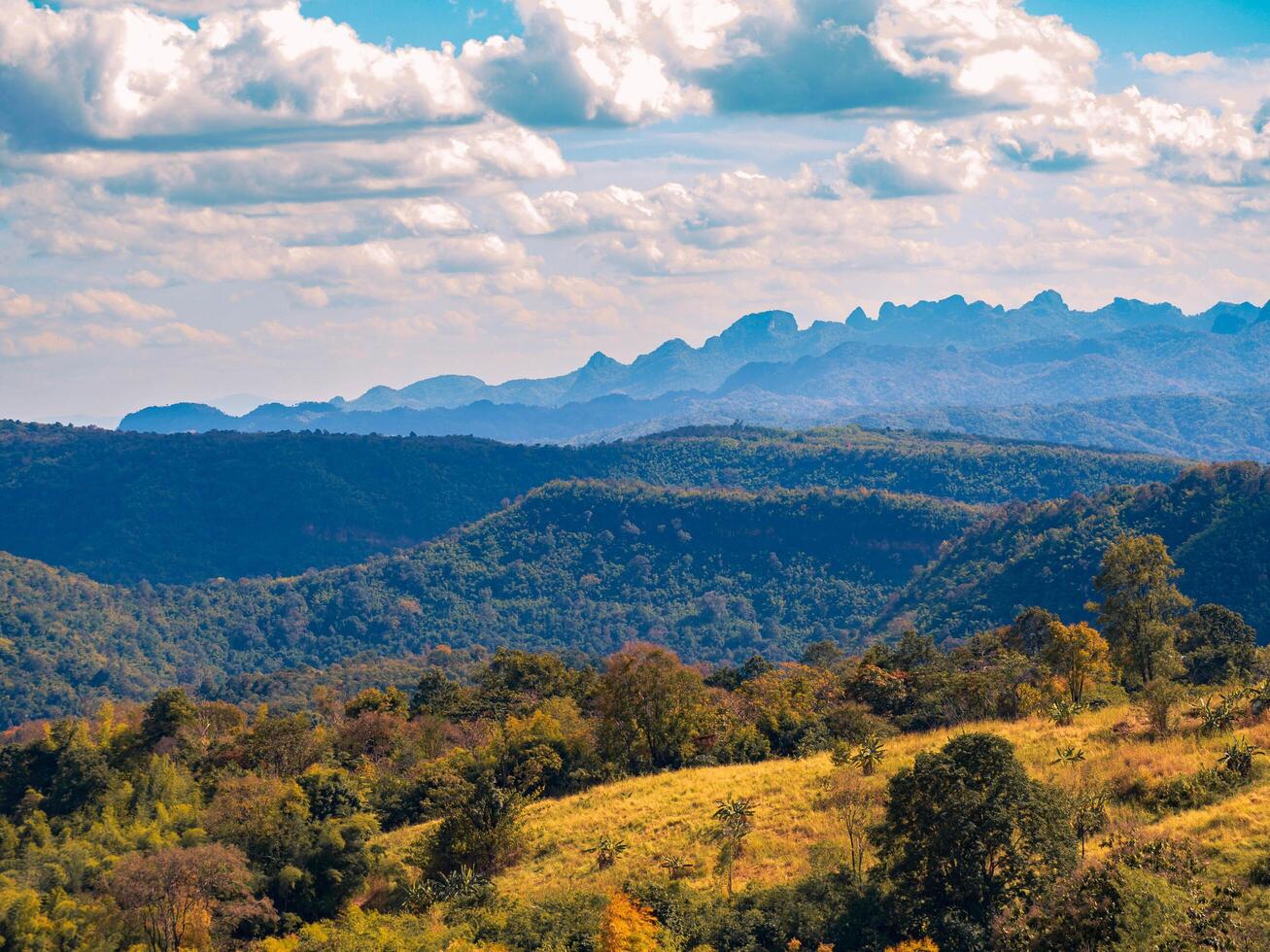 The stunning view in Forest Park from a tourist's standpoint as they go down a hill with background of blue sky, Rainforest, Thailand. Bird's eye view. Aerial view. photo