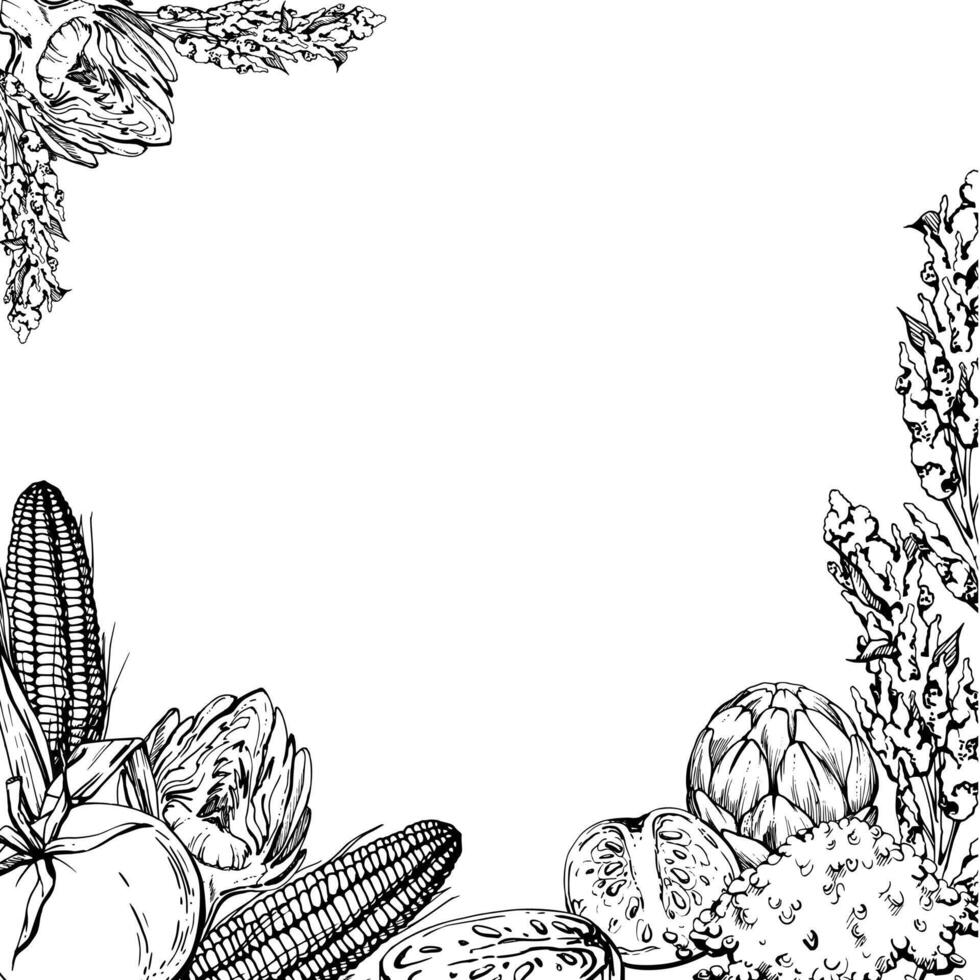 Hand drawn ink illustration, cooking pot ceramics vegetable stew maize corn quinoa, south american cuisine Square frame isolated on white background. Design travel, vacation, brochure, print vector