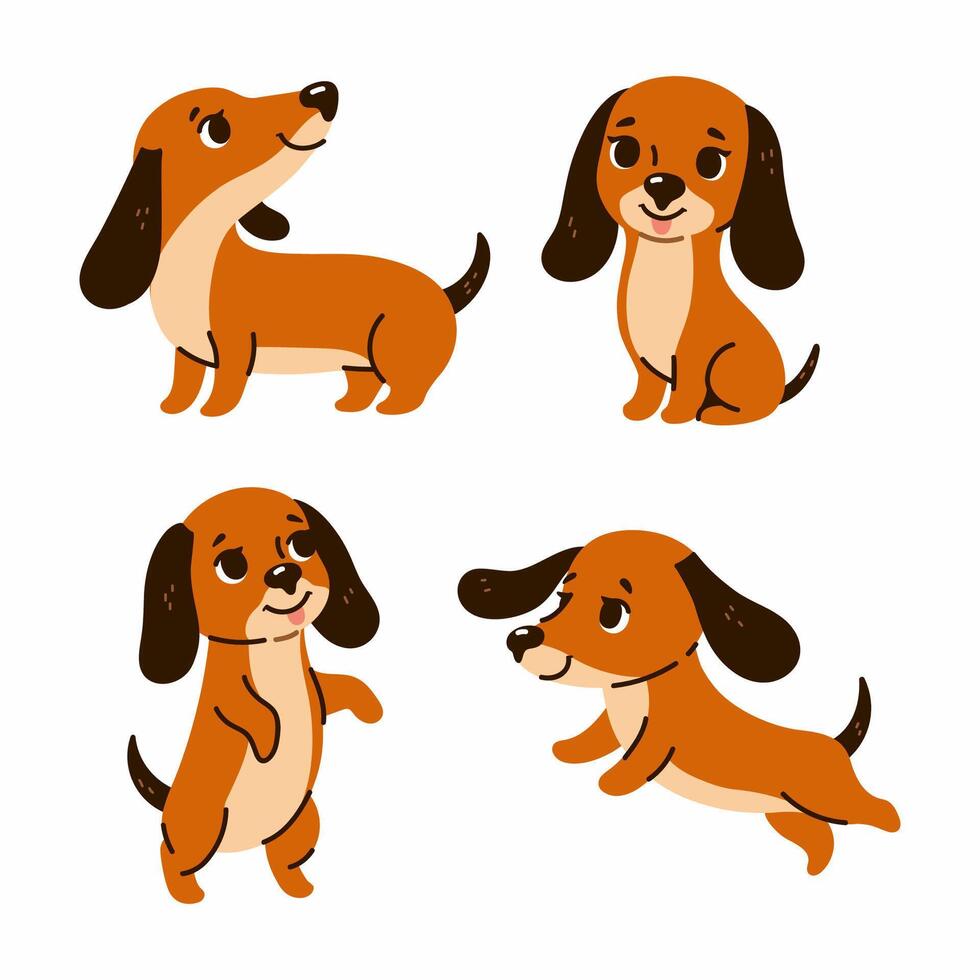 Set of four cute dachshund dogs. graphics. vector