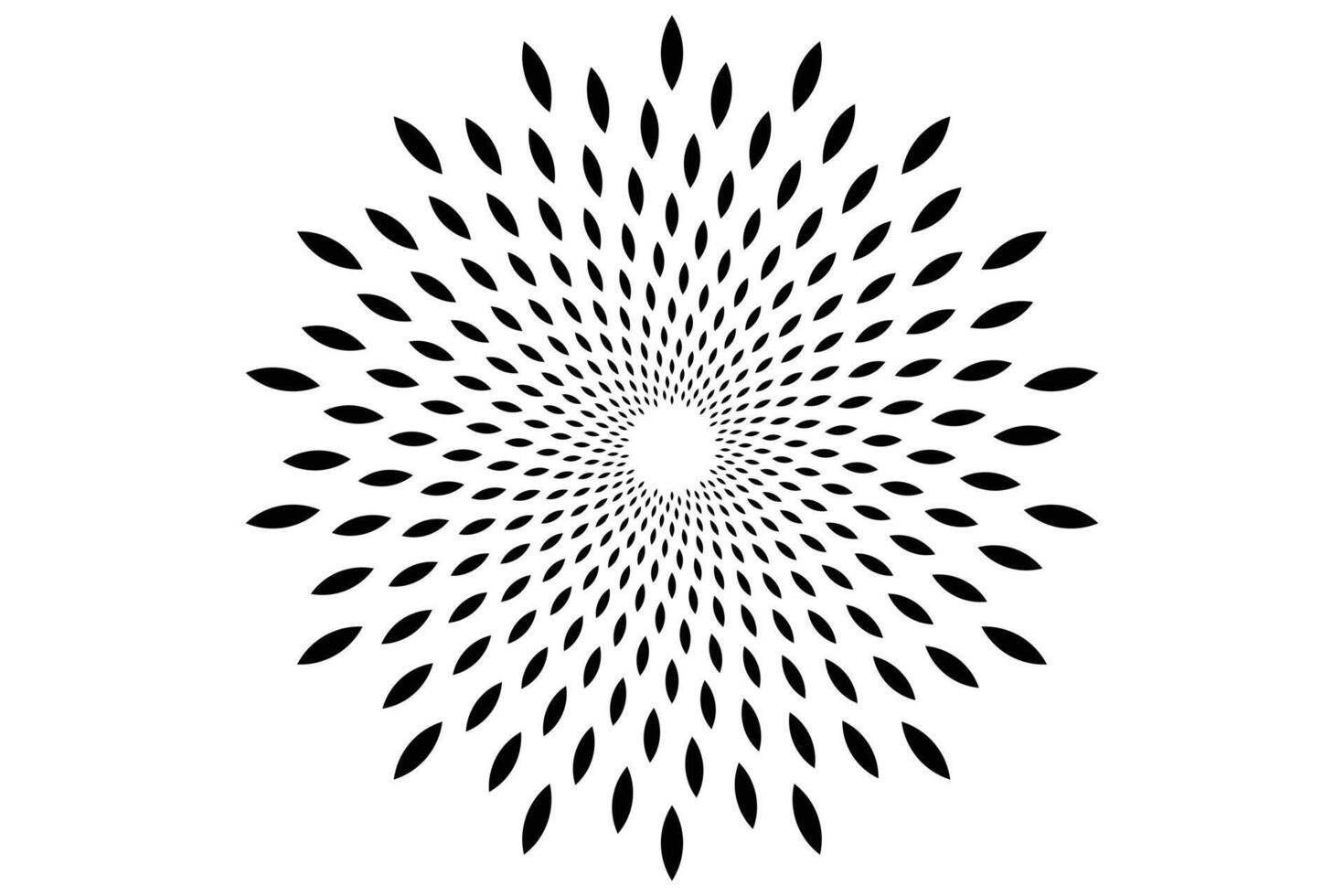 Colorful Mandala Design s vector