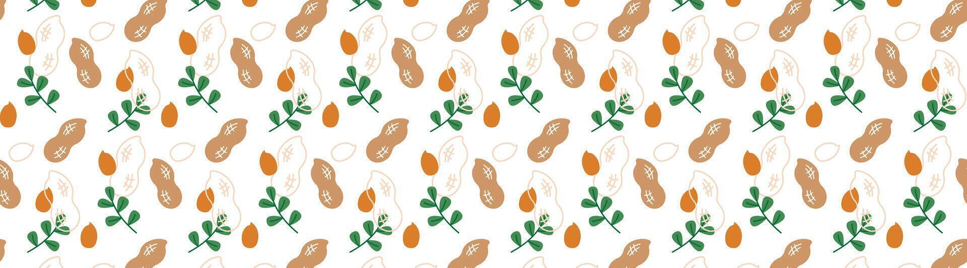 peanut seamless pattern bacground nuts vector