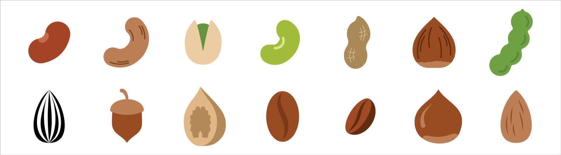 colorido semilla icono objeto, nuez, castaño, maní, vector