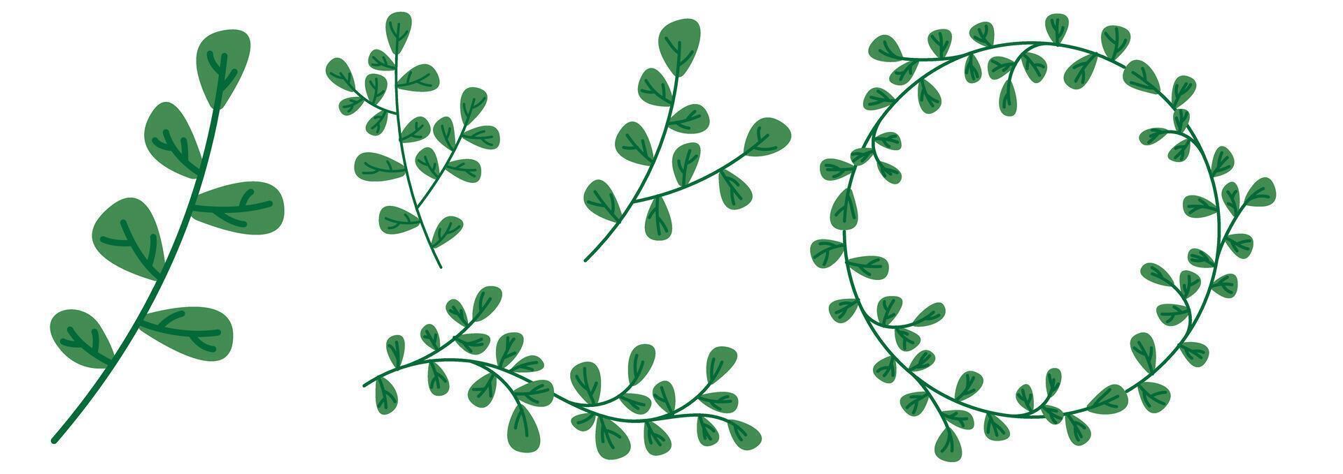 cute green vine , leaves foliage icon vector