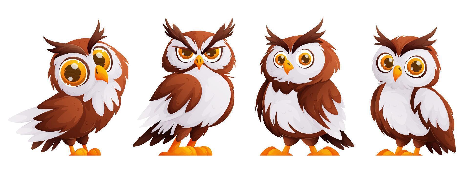 Set of Cute cartoon owl. The owl is brown in color with white feathers. Wild forest birds. Flying creatures. vector