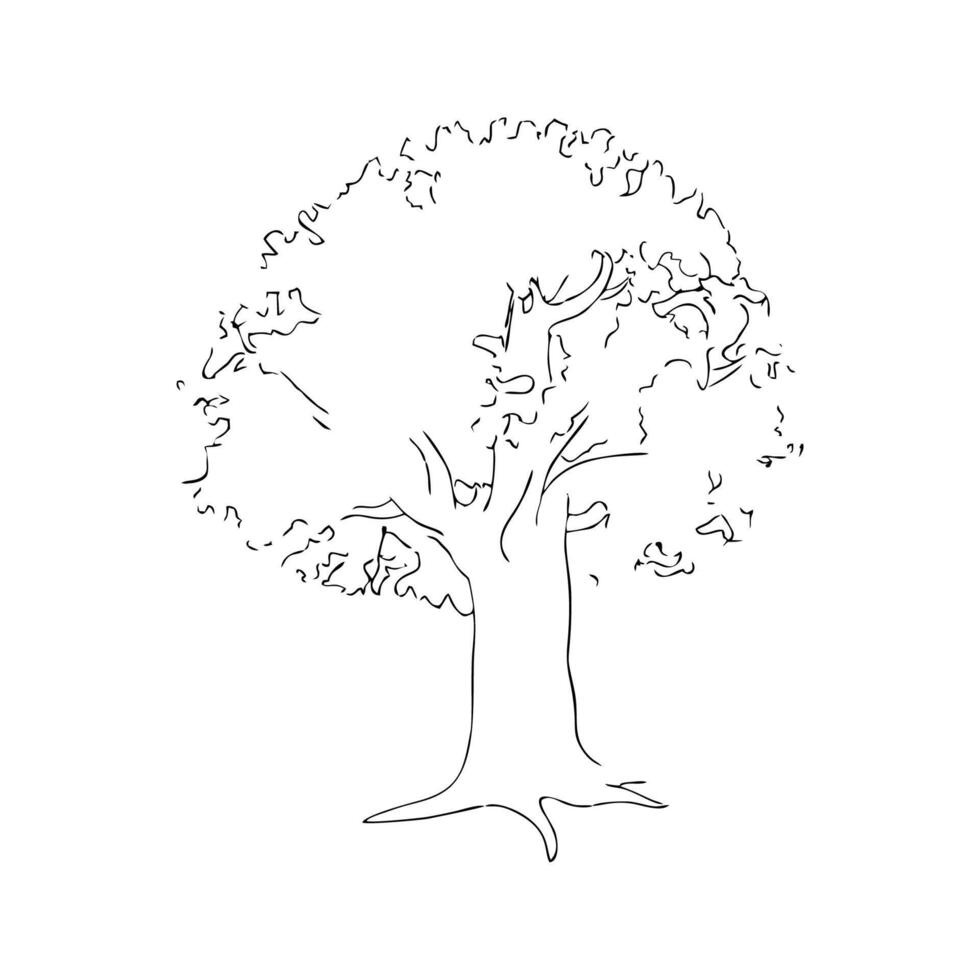 un solitario árbol vector