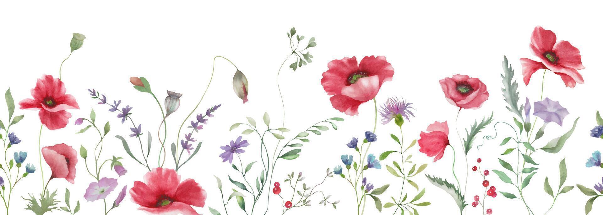 Seamless watercolor border with meadow flowers. Hand drawn floral illustration isolated on white background. EPS. vector